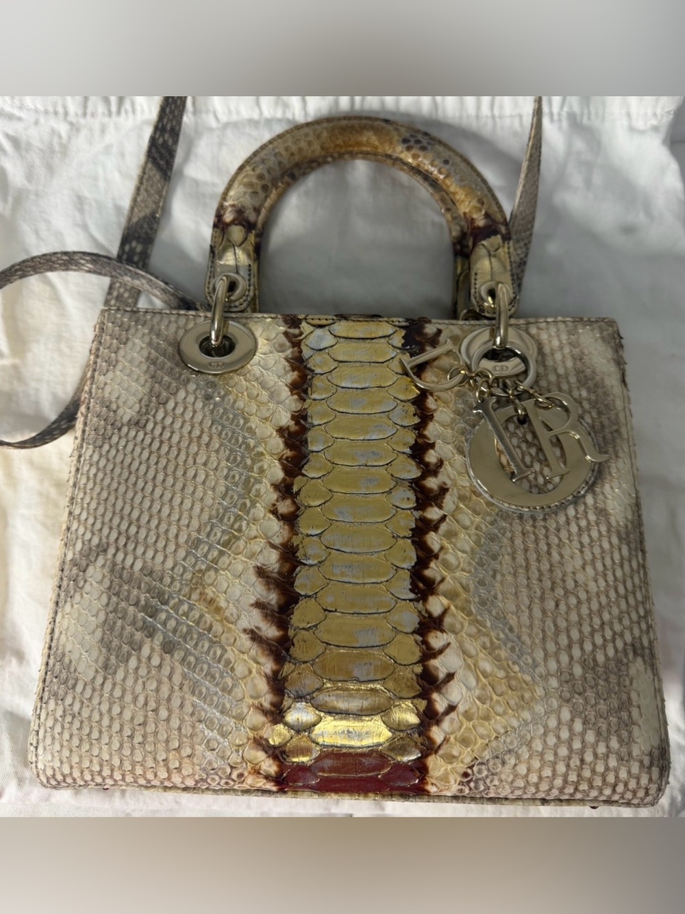 Christian Dior Medium Python Neutral & Metallic Gold Lady Dior